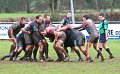 Monaghan 1st XV Vs Belfast Harlequins 04-02-2012 (16)